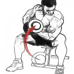 DUMBBELL CONCENTRATION CURL