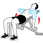 INCLINE BENCH DUMBBELL CURL