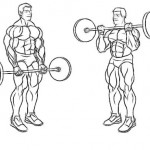 STANDING BARBELL CURL